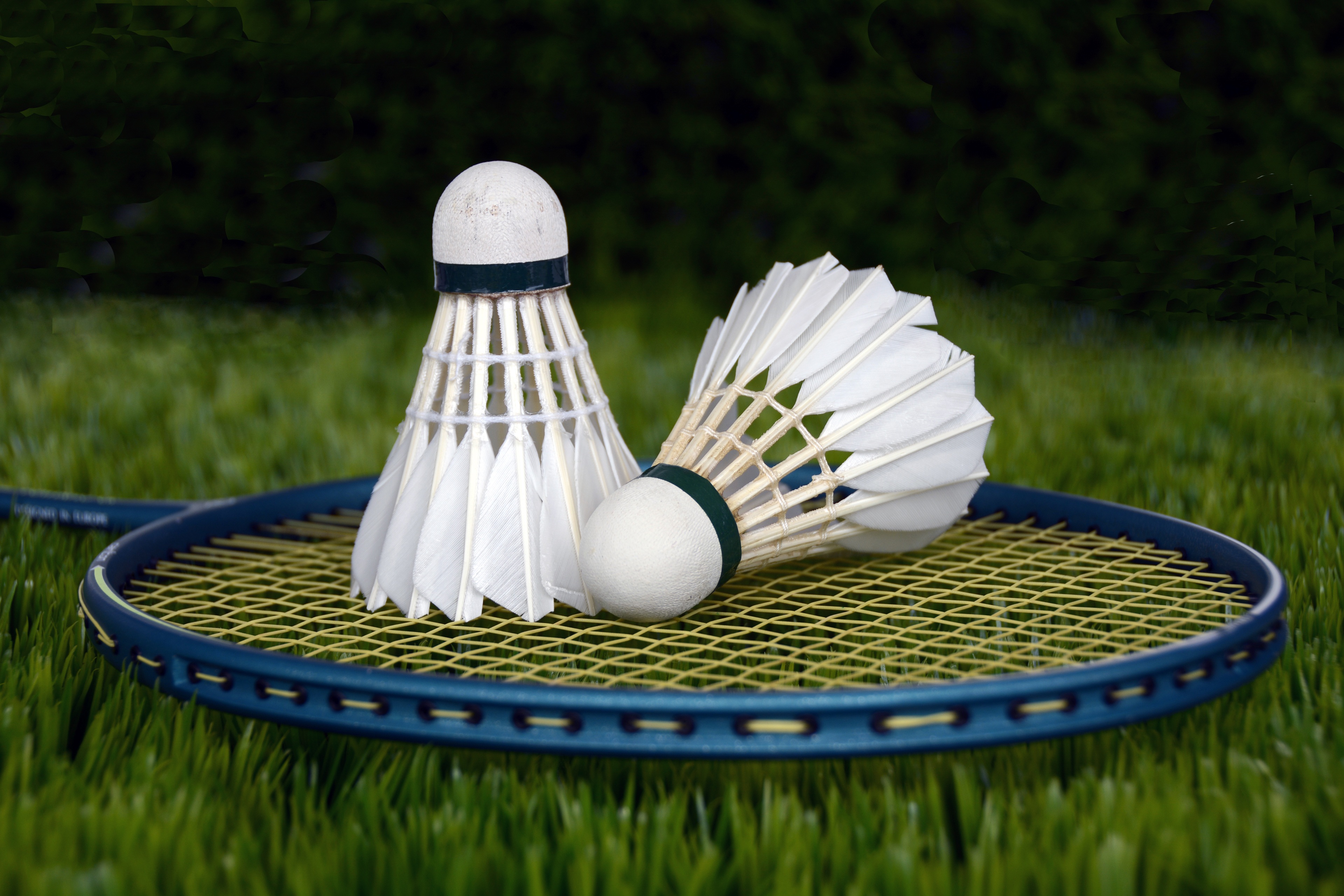 photo raquette de badminton